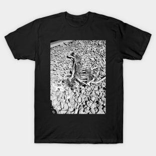 RR Decay T-Shirt